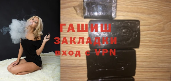 хмурый Алексин