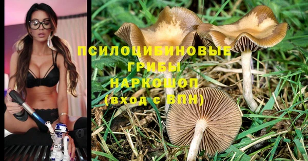 Альфа ПВП Аркадак