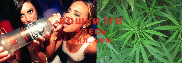 Альфа ПВП Аркадак