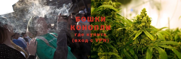 каннабис Арсеньев