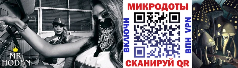 Галлюциногенные грибы Cubensis  Купить где  Троицк 